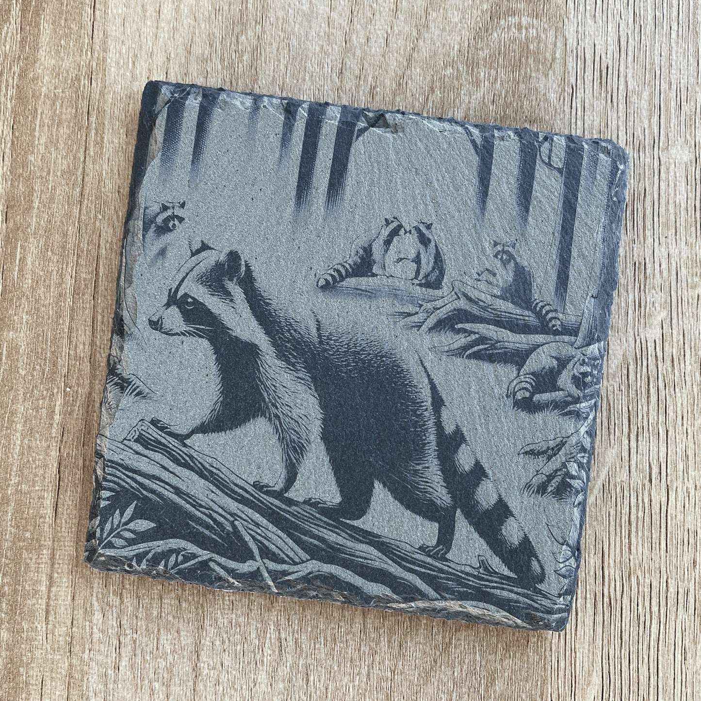 Raccoon Coasters - Set of 4 Laser Etched Rustic Raccoon Themed Prints w/Coaster Holder | Wildlife Art Collection | Home Decor & Drinkware