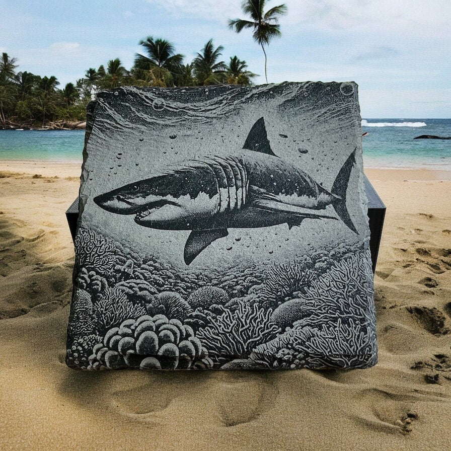 Shark-Themed Coaster Set – Premium Stone Coasters with Holder - Vibrant Wildlife Art - Rustic Home Decor