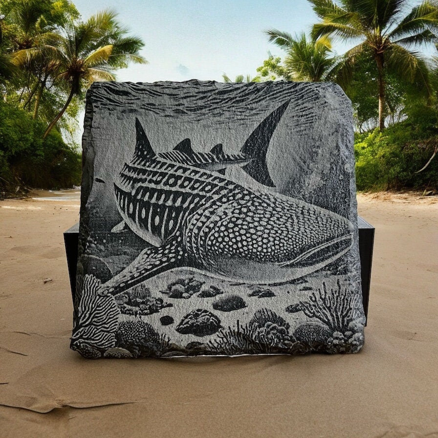 Shark-Themed Coaster Set – Premium Stone Coasters with Holder - Vibrant Wildlife Art - Rustic Home Decor