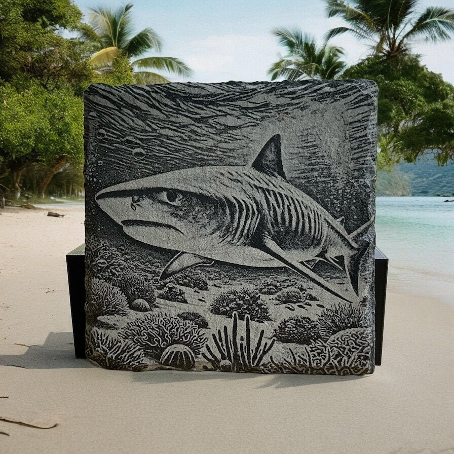 Shark-Themed Coaster Set – Premium Stone Coasters with Holder - Vibrant Wildlife Art - Rustic Home Decor