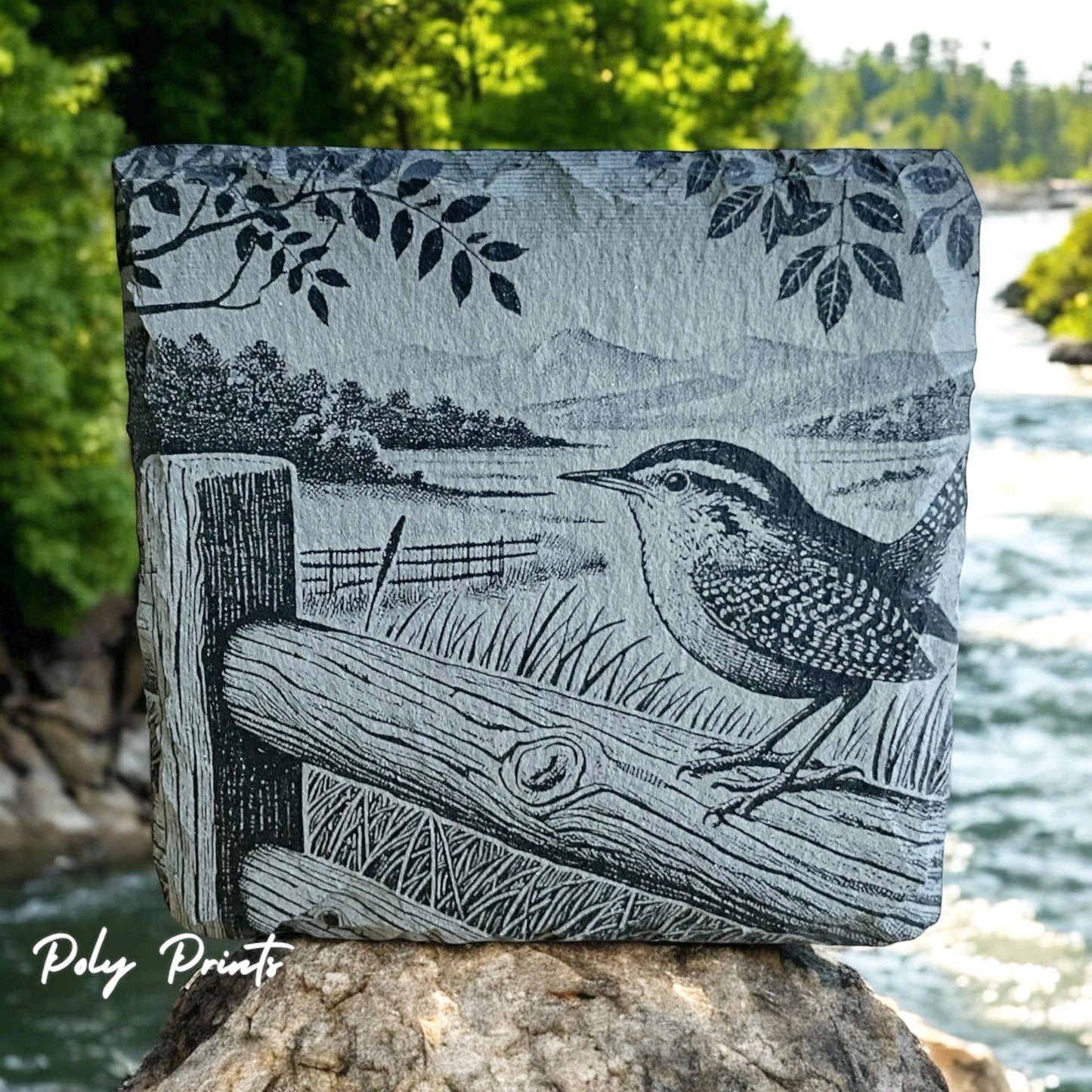 Bird-Themed Coaster Set - Premium Stone Coasters with Holder (Set of 4) Wildlife Art Collection | Home Decor & Drinkware
