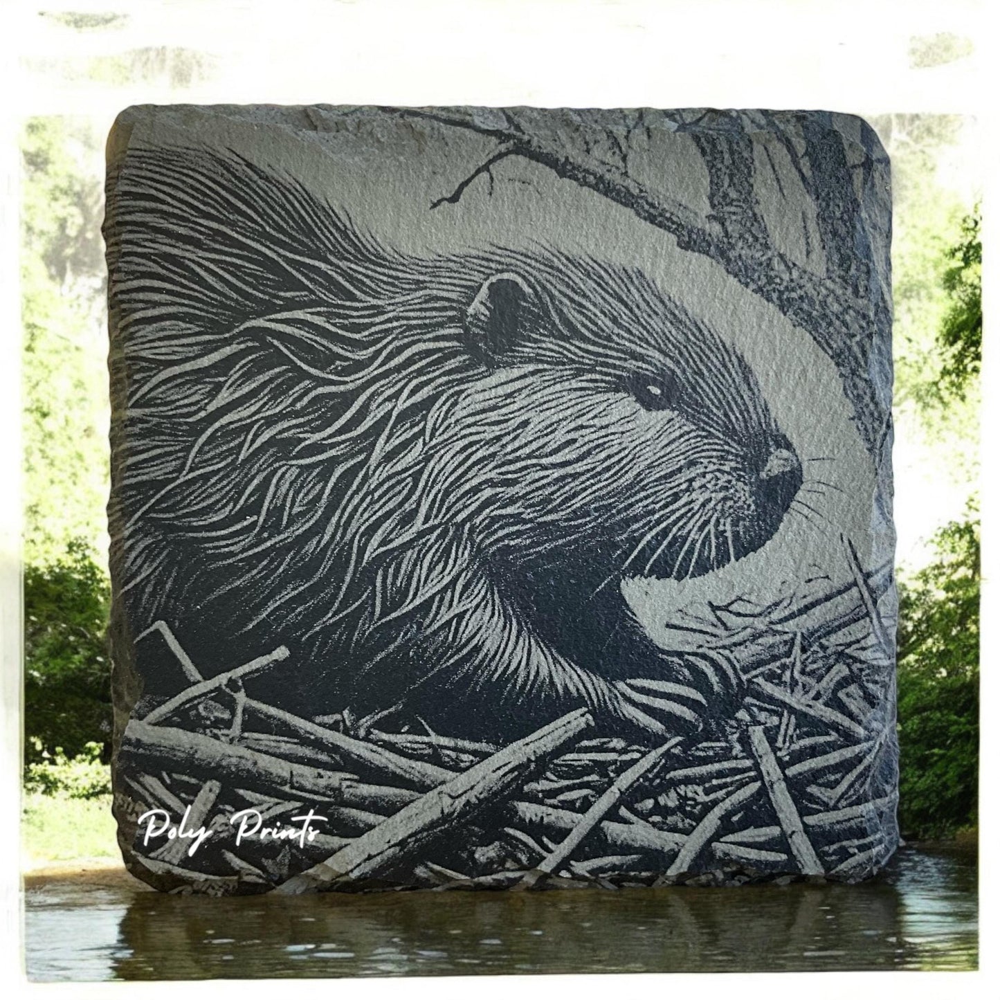Beaver Coasters - Set of 4 Laser Etched Rustic Beaver Themed Prints w/Coaster Holder | Wildlife Art Collection | Home Decor & Drinkware