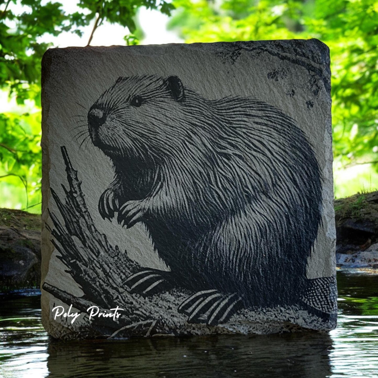 Beaver Coasters - Set of 4 Laser Etched Rustic Beaver Themed Prints w/Coaster Holder | Wildlife Art Collection | Home Decor & Drinkware