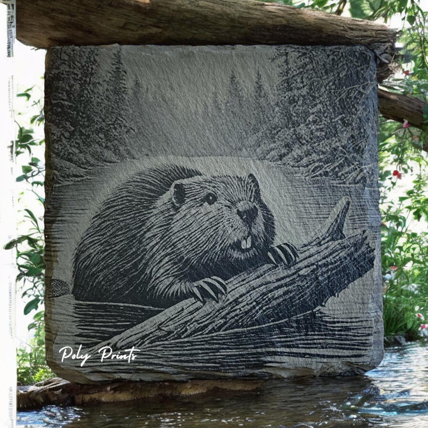 Beaver Coasters - Set of 4 Laser Etched Rustic Beaver Themed Prints w/Coaster Holder | Wildlife Art Collection | Home Decor & Drinkware